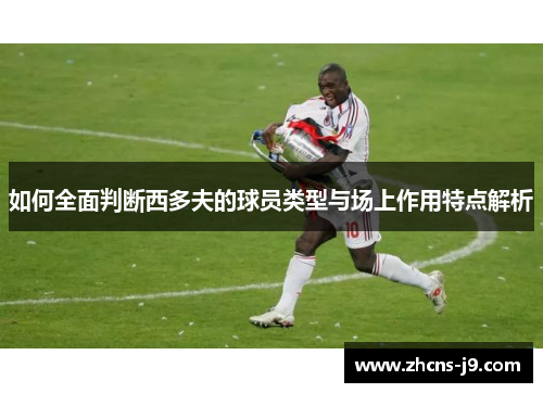 如何全面判断西多夫的球员类型与场上作用特点解析