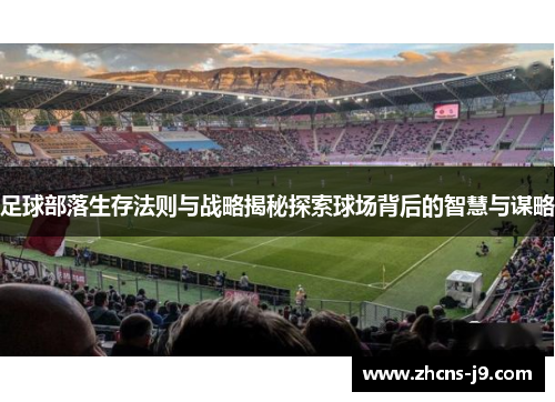 足球部落生存法则与战略揭秘探索球场背后的智慧与谋略