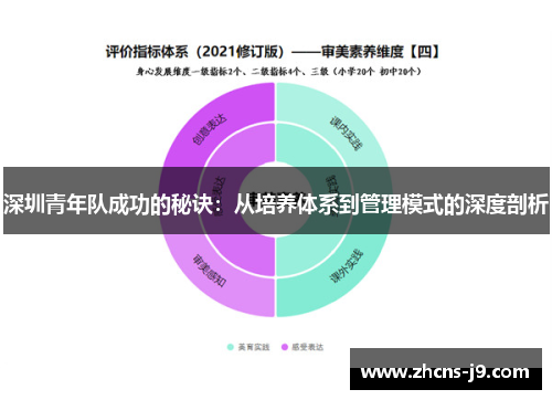 深圳青年队成功的秘诀：从培养体系到管理模式的深度剖析
